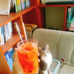 <b>수박</b>화채얌얌