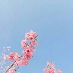 [조언부탁해] 나 좀 도와줘 급해 ㄹㅇ <b>내일</b> 남친집 가는데