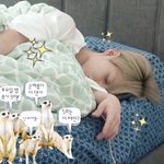 [댓글부탁해] <b>샤이니</b> <b>태민</b> 너무 귀여워ㅜㅠㅠ