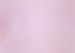 사진0) 얘들아 나 <b>속</b><b>쌍</b>이야 ???
