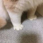 러비더비 <b>섬유</b>향수 뭐가 젤 좋앙