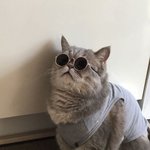 [댓글부탁해] <b>영어</b> 독후감 <b>책</b> 추천좀해주라 ㅠㅠ
