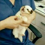 [드루와] <b>무쌍</b>인데 외모기복 ㅈㄴ심함...