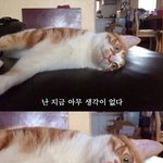 [드루와] <b>조별</b>과제 없애라고 교육청에 말하면