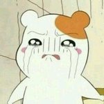 [19] 얘들아 너네도 오줌<b>쌀</b><b>때</b> 옆으로 많이 흐름?