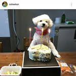 [EXO] 비비 졸<b>귀네</b>ㅋㅋㄱㅋㄱㅋㄱㄱㅋㅋㄱㅋㄱㄲㄱ