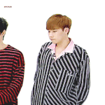 [인피니트] 성규는 진짜 <b>태생</b>부터 모순귀요미