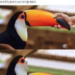 [댓글부탁해] 다들 남자친구 어디서 만났어?