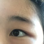 얘들아 나 눈썹정리 <b>어떠</b>케 해야할까?