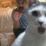 [댓글부탁해] 끈적하고 퇴폐미? 넘치는 남자 아이돌 노래 알려줘