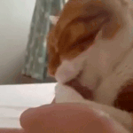 <b>윗층</b> 빙글뱅글 듣고있는듯