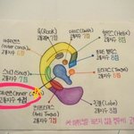 [댓글부탁해] 피어싱 해본 판녀들