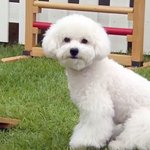 [댓글부탁해] 얼굴 경락 받은 후기 적어봄