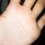 [사진ㅇ] 나 같은 손금 있냥ㅎㅅㅎ