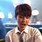 [박우진] 참새를 처음접하면 원래 다들 이런건가요?