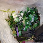 <b>다세대</b>1층에 조현병환자가 이사왔어요....