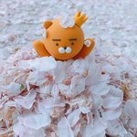 [댓글부탁해] <b>클레이</b>로 만든 라이언!!