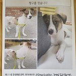 <b>짱구</b>를 찾습니다