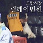 [<b>민원</b>/참여] 성남 모란시장, 힘을 모아주셔야 합니다.