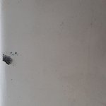 [방탈죄송] 뺑소니 도와주세요 ㅠㅠ