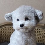 가족한테 내 우울증 얘기했는데
