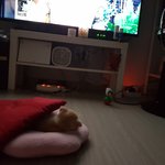 <b>아버님</b>??