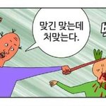 정확히 탈<b>코르셋</b> 한다는게 뭘까