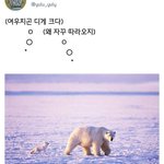 [ㅈㄱㄴ] 올해 ㄹㅇ인싸라이프다