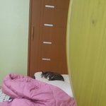 <b>울집</b> 고앵이 항상 베개에서 자