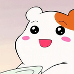 결혼 후 시부모님 첫 생신상..어떻게 하시나요?