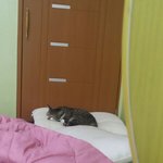 <b>낮잠</b>자러간다 ㅃㅃ
