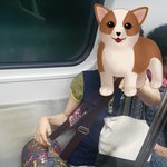 당신의 멍멍이도 소중하겠지만 <b>쟈철</b> 의자는 사람에게 양보하세요