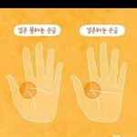 너네 결혼 할 수 있는지 보고가
