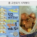 [댓글부탁해] 너네 <b>시도</b>하기 무서워서 포기한 꿈 있어??