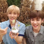 [NCT] 다육이 마크 <b>재민</b> 윈윈 쿤 브이앱 뒤늦게 보는데 ㅋㅋㅋㅋ