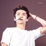 [EXO] 여긴 아직도 이러네