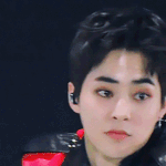 [EXO] 흑<b>슈슈</b>