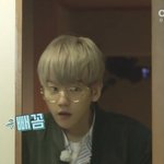 [EXO] 무해인간 <b>변백현</b> 올려봄
