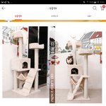 1시간동안 고민한 후에 <b>캣타워</b>를 결제했어