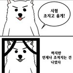 믿고 듣는 그룹이나 <b>가수</b> 누구야?