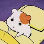 그룹내에서 제일 인기많은 멤버랑 없는멤버 ㄹㅇㅍㅌ