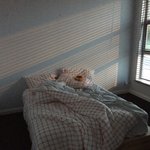 [조언부탁해] 나 <b>웜</b><b>톤</b>이야 쿨톤이야??