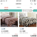 얘들아 담요 좀 골라줘