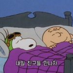 ㅈ같은 외모<b>지상</b>주의사회