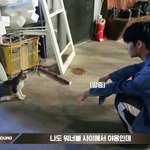 나도 워너블 사이에서 <b>야옹</b>인데