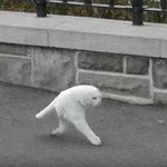 [19] 레즈들은 99.9% 페미임