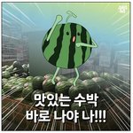 [명랑엽떡] 맛있는 <b>수박</b> 고르는 방법