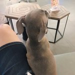 [위너] <b>오뜨</b> 졸커