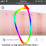 이 블러셔 <b>웜</b><b>톤</b>블러셔지..? 추반좀