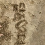 얘들아 <b>코알라</b> 어때